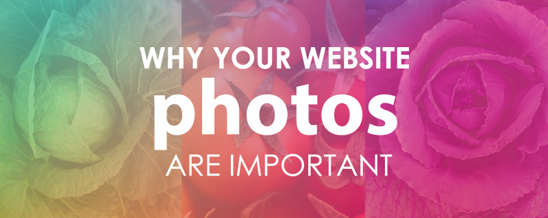 Why your website photos are just as important as your design